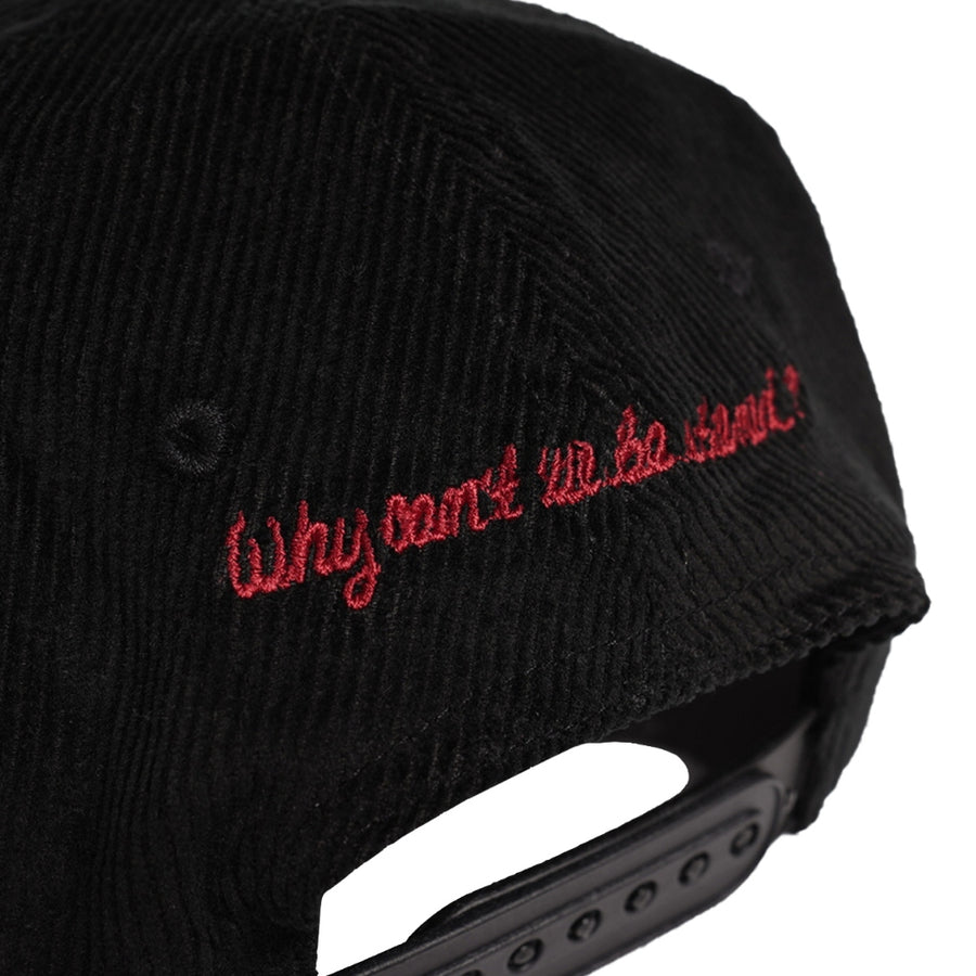 POT MEETS POP - WHY CANT BE STONED 6 PANEL CAP BLACK SS`24