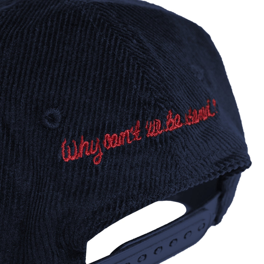 POT MEETS POP - WHY CANT BE STONED 6 PANEL CAP NAVY SS`24